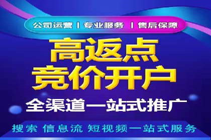 深入解析SEM账户竞价运营成功案例